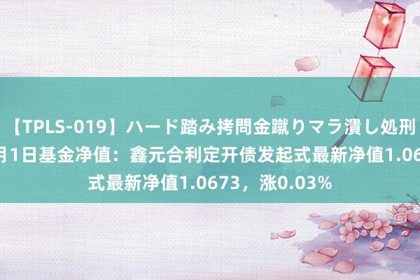 【TPLS-019】ハード踏み拷問金蹴りマラ潰し処刑 JUN女王様 8月1日基金净值：鑫元合利定开债发起式最新净值1.0673，涨0.03%