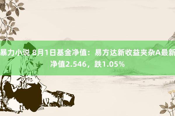 暴力小说 8月1日基金净值：易方达新收益夹杂A最新净值2.546，跌1.05%