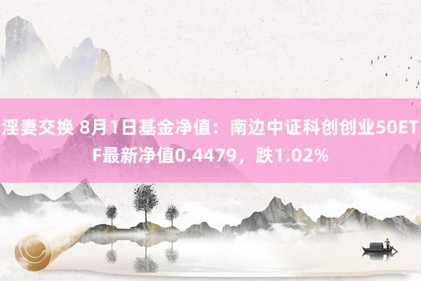 淫妻交换 8月1日基金净值：南边中证科创创业50ETF最新净值0.4479，跌1.02%