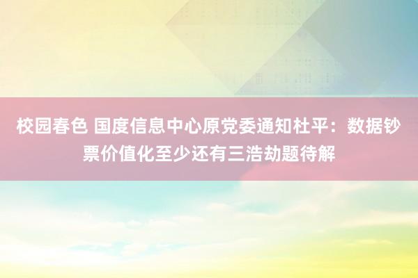 校园春色 国度信息中心原党委通知杜平：数据钞票价值化至少还有三浩劫题待解