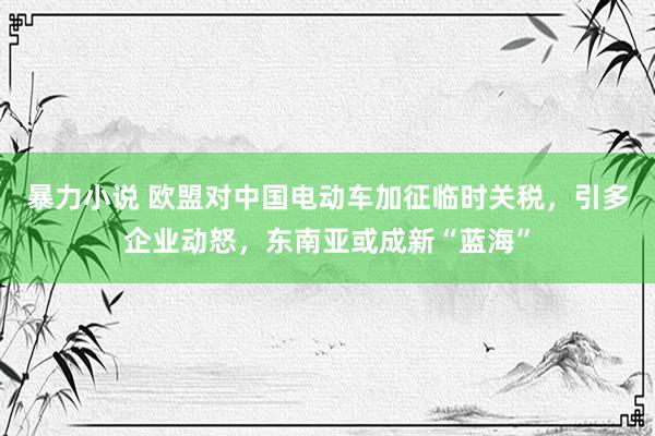 暴力小说 欧盟对中国电动车加征临时关税，引多企业动怒，东南亚或成新“蓝海”