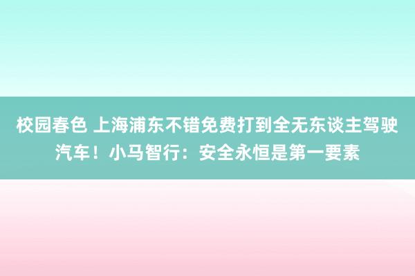 校园春色 上海浦东不错免费打到全无东谈主驾驶汽车！小马智行：安全永恒是第一要素