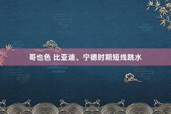 哥也色 比亚迪、宁德时期短线跳水