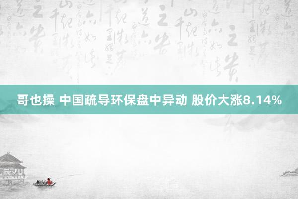 哥也操 中国疏导环保盘中异动 股价大涨8.14%