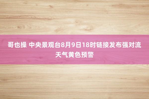 哥也操 中央景观台8月9日18时链接发布强对流天气黄色预警