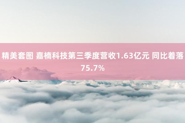 精美套图 嘉楠科技第三季度营收1.63亿元 同比着落75.7%