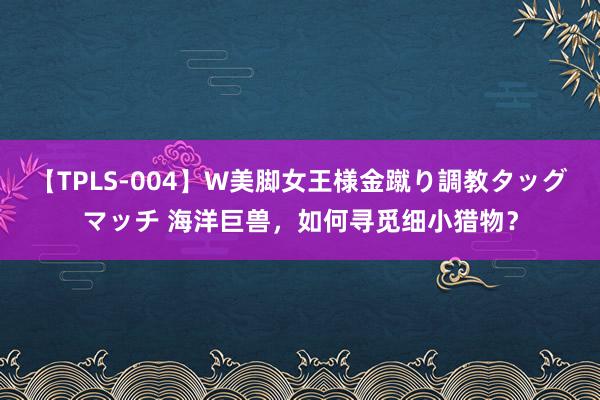 【TPLS-004】W美脚女王様金蹴り調教タッグマッチ 海洋巨兽，如何寻觅细小猎物？