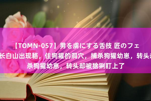 【TOMN-057】男を虜にする舌技 匠のフェラチオ 蛇ノ書 长白山出现貉，住狗獾的洞穴，捕杀狗獾幼崽，转头却被猞猁盯上了