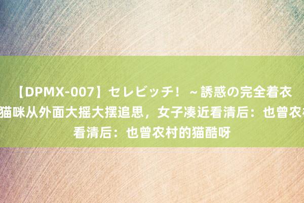 【DPMX-007】セレビッチ！～誘惑の完全着衣～ KAORI 猫咪从外面大摇大摆追思，女子凑近看清后：也曾农村的猫酷呀