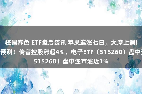 校园春色 ETF盘后资讯|苹果连涨七日，大摩上调iPhone销量预测！传音控股涨超4%，电子ETF（515260）盘中逆市涨近1%