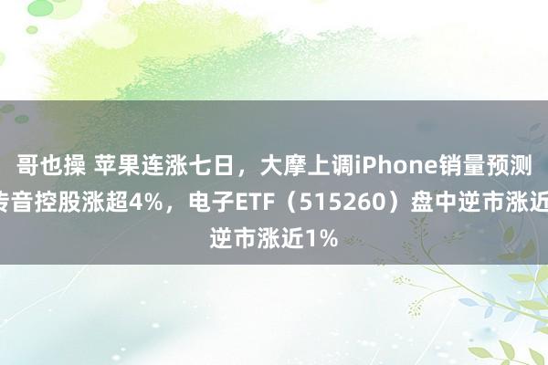 哥也操 苹果连涨七日，大摩上调iPhone销量预测！传音控股涨超4%，电子ETF（515260）盘中逆市涨近1%