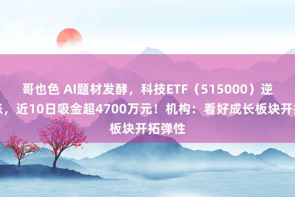 哥也色 AI题材发酵，科技ETF（515000）逆市收涨，近10日吸金超4700万元！机构：看好成长板块开拓弹性