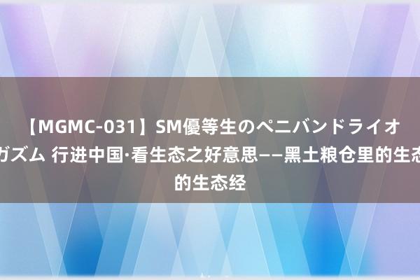 【MGMC-031】SM優等生のペニバンドライオーガズム 行进中国·看生态之好意思——黑土粮仓里的生态经