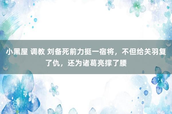 小黑屋 调教 刘备死前力挺一宿将，不但给关羽复了仇，还为诸葛亮撑了腰