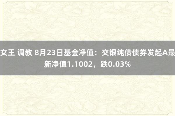 女王 调教 8月23日基金净值：交银纯债债券发起A最新净值1.1002，跌0.03%