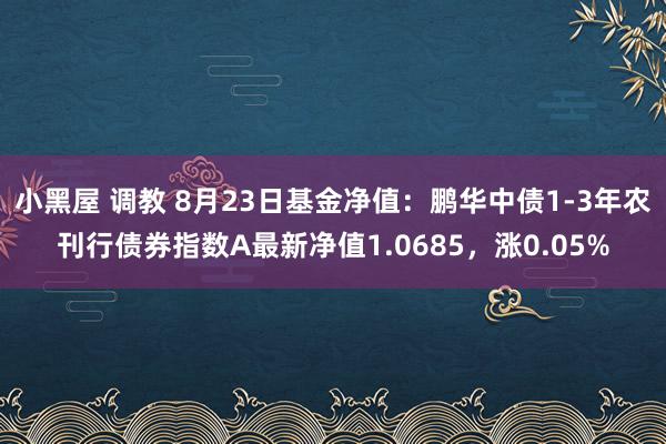 小黑屋 调教 8月23日基金净值：鹏华中债1-3年农刊行债券指数A最新净值1.0685，涨0.05%