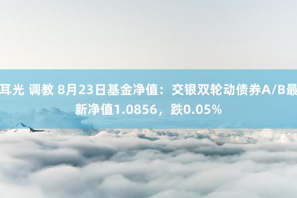 耳光 调教 8月23日基金净值：交银双轮动债券A/B最新净值1.0856，跌0.05%