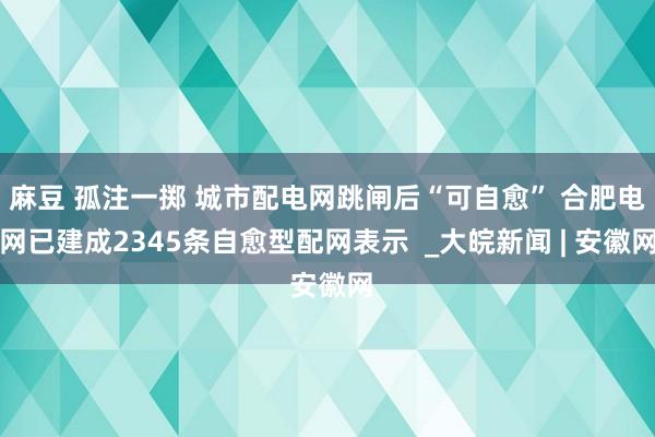 麻豆 孤注一掷 城市配电网跳闸后“可自愈” 合肥电网已建成2345条自愈型配网表示  _大皖新闻 | 安徽网