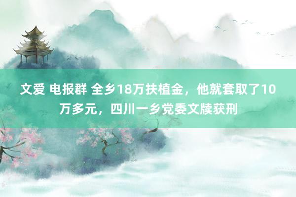 文爱 电报群 全乡18万扶植金，他就套取了10万多元，四川一乡党委文牍获刑