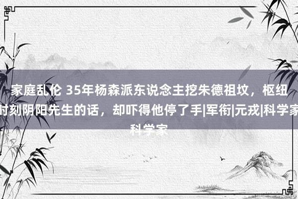 家庭乱伦 35年杨森派东说念主挖朱德祖坟，枢纽时刻阴阳先生的话，却吓得他停了手|军衔|元戎|科学家