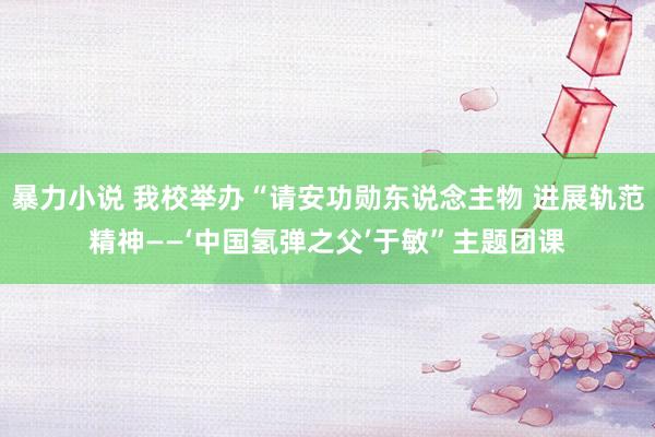 暴力小说 我校举办“请安功勋东说念主物 进展轨范精神——‘中国氢弹之父’于敏”主题团课